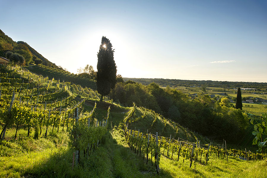 Primavera del Prosecco 2022