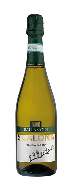 Sparkling Wine Scalona Prosecco DOC