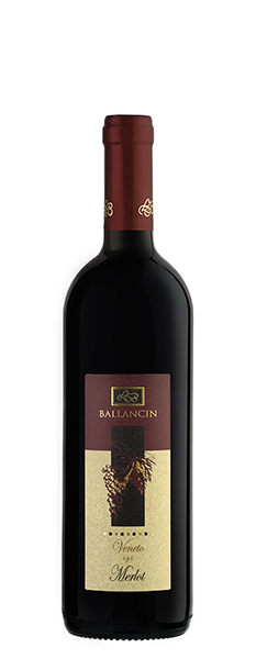 Still Red Wine Merlot Veneto IGT