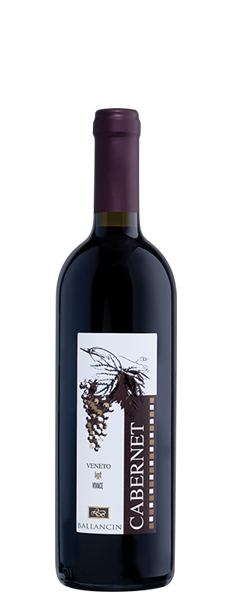 Vino Rosso Vivace Cabernet Franc Veneto IGT