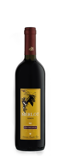 Spritziger Rotwein Merlot Vivace Veneto IGT